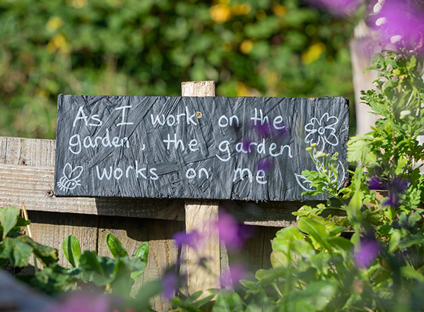 Message in garden